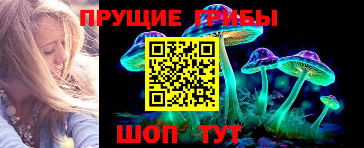 наркотики  Галлюциногенные грибы Cubensis  Вход с VPN  Тамбов 